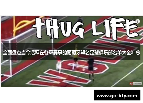 全面盘点当今活跃在各级赛事的葡萄牙知名足球俱乐部名单大全汇总